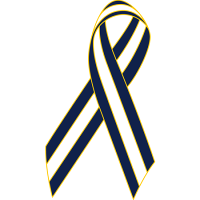 Navy/White/Navy Awareness Ribbon Lapel Pin