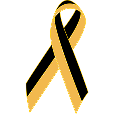 Black/Gold Awareness Ribbon Lapel Pins (NP)