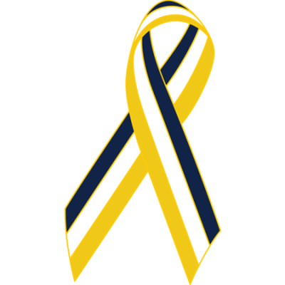 Navy/White/Gold Awareness Ribbon Lapel Pin