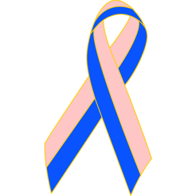 Pink/Blue Awareness Ribbon Lapel Pin