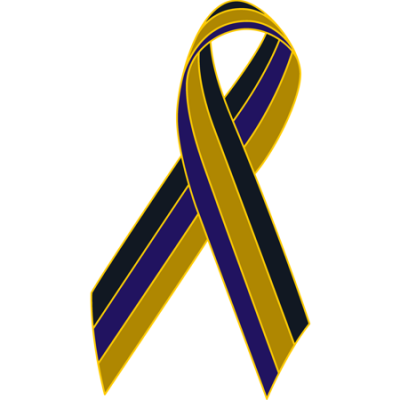 Black/Purple/Gold Awareness Ribbon Lapel Pin